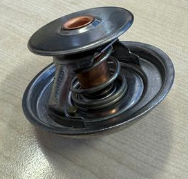 Термостат WAHLER  WH 4079.76
